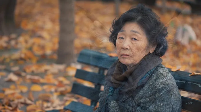 파산전문변호사