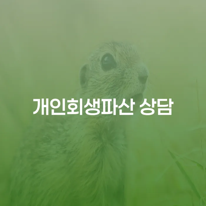 순창 개인회생파산 상담을 통한 새로운 시작